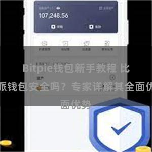 Bitpie钱包新手教程 比特派钱包安全吗？专家详解其全面优势