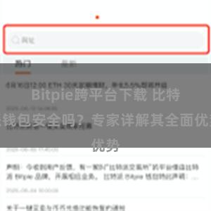 Bitpie跨平台下载 比特派钱包安全吗？专家详解其全面优势