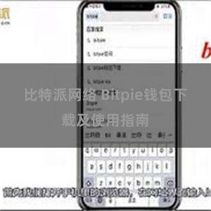 比特派网络 Bitpie钱包下载及使用指南