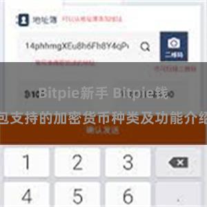 Bitpie新手 Bitpie钱包支持的加密货币种类及功能介绍