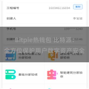 Bitpie热钱包 比特派：全方位保护用户数字资产安全