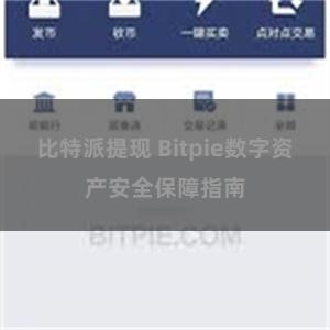 比特派提现 Bitpie数字资产安全保障指南