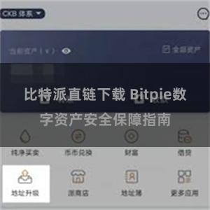 比特派直链下载 Bitpie数字资产安全保障指南