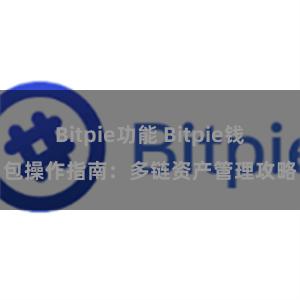 Bitpie功能 Bitpie钱包操作指南：多链资产管理攻略