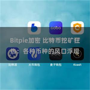 Bitpie加密 比特币挖矿狂热：各种币种的风口浮现