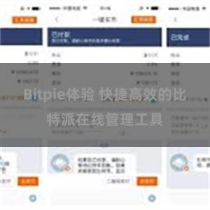 Bitpie体验 快捷高效的比特派在线管理工具