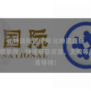 比特派钱包使用 比特派直链下载教程，快速获取资源，无需等待！