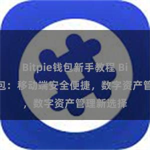 Bitpie钱包新手教程 Bitpie轻钱包：移动端安全便捷，数字资产管理新选择